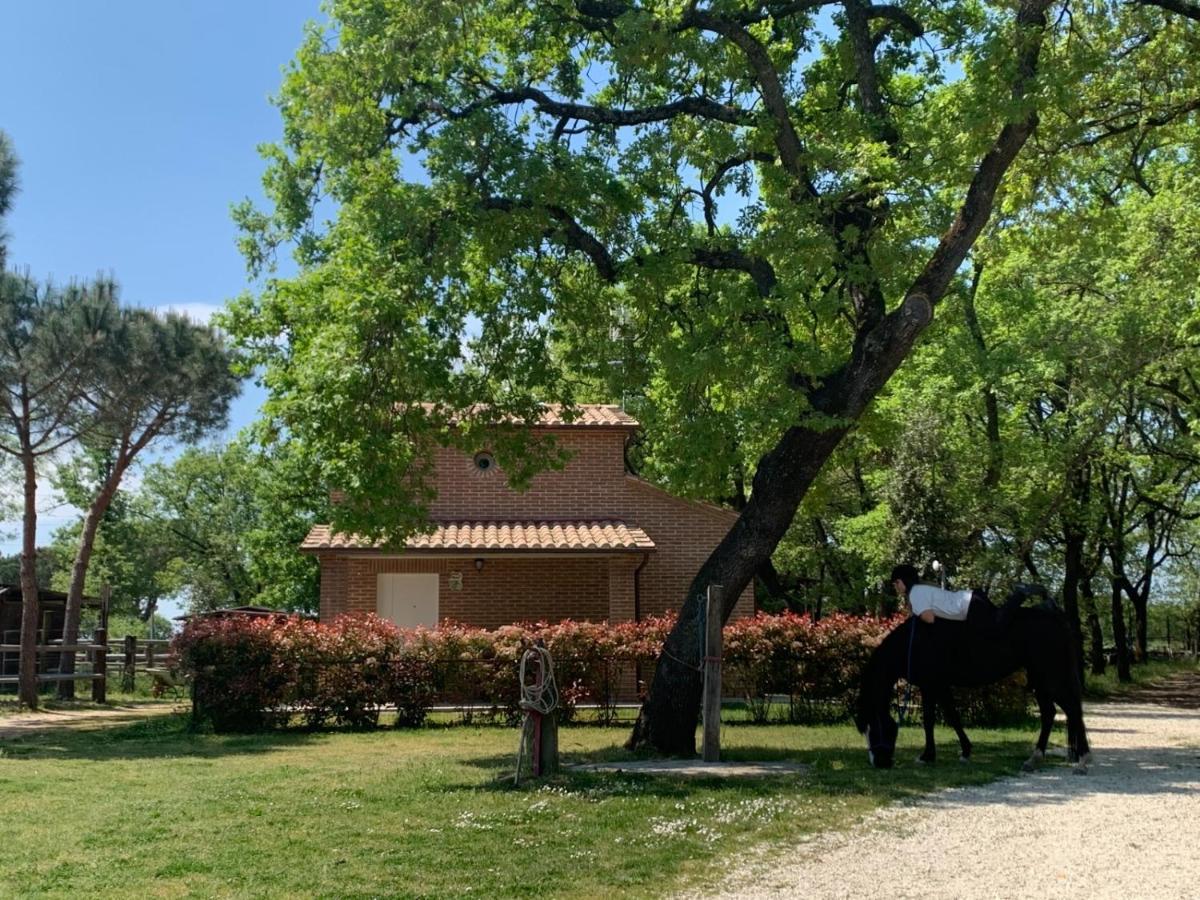 Casina Miriano Villa Castiglione del Lago Exterior photo