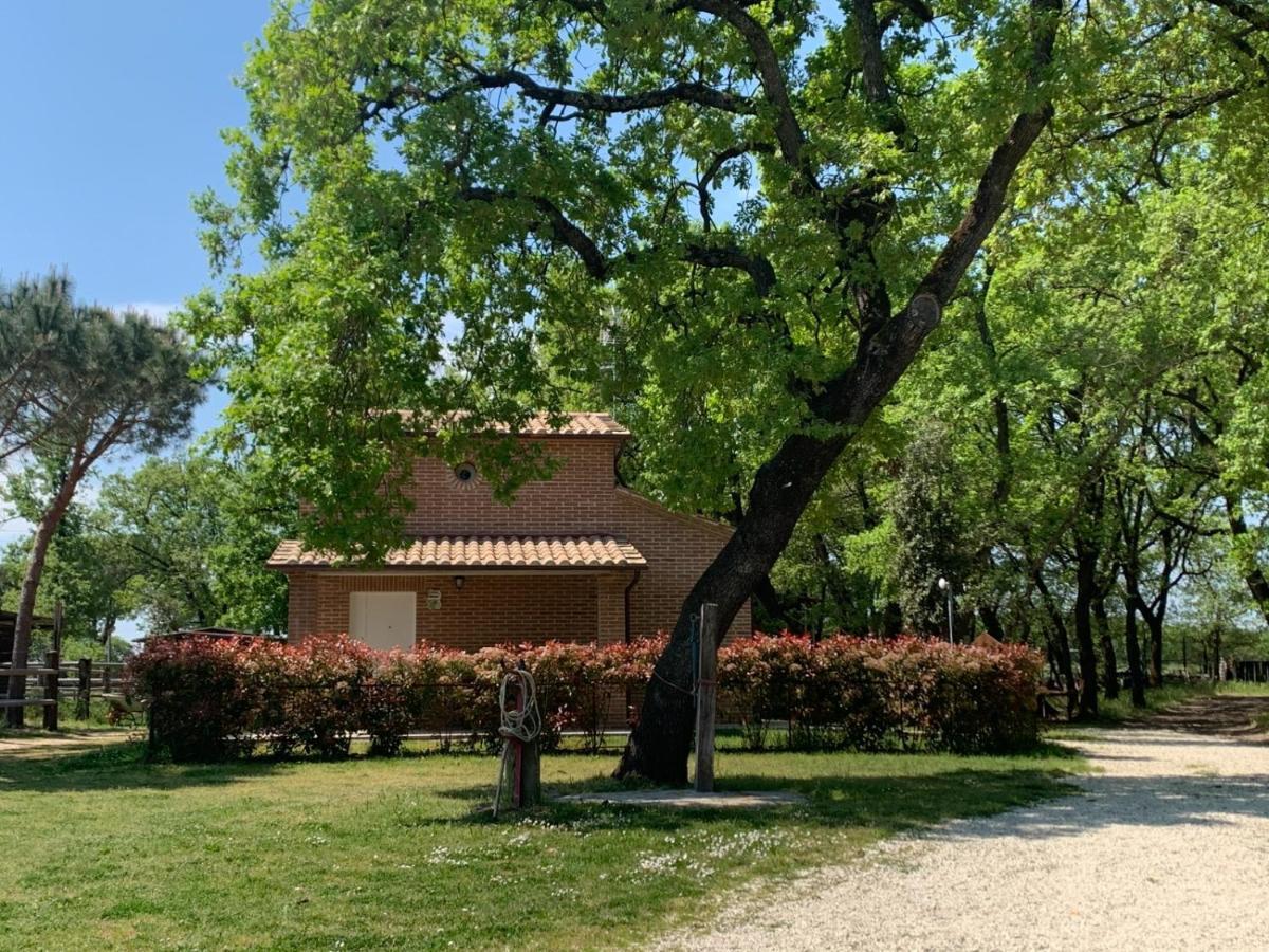Casina Miriano Villa Castiglione del Lago Exterior photo